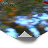 Colorful Leaves Poster (Coin)