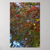 Colorful Leaves Poster (Devant)