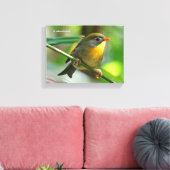 Colorful Leiothrix / Pekin Robin Songbird Canvas Afdruk (Insitu (Woonkamer))