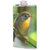 Colorful Leiothrix / Pekin Robin Songbird Heupfles (Links)