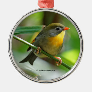 Colorful Leiothrix Pekin Robin Songbird Metalen Ornament