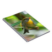 Colorful Leiothrix / Pekin Robin Songbird Notitieboek (Rechterzijde)