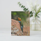 Colorful Lizard Briefkaart (Staand voorkant)