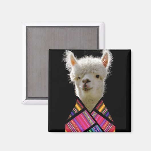 Colorful Llama Magneet (Voorkant / Achterkant)