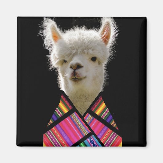 Colorful Llama Magneet (Voorkant)
