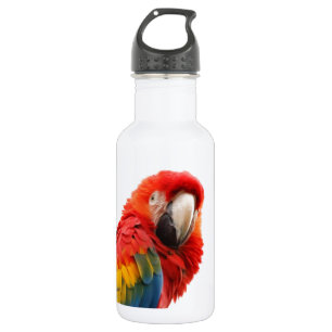 Colorful Macaw Chic Classy Mod Tropisch Waterfles