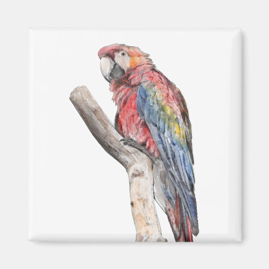 Colorful Macaw Parrot Waterverf Magneet (Voorkant)