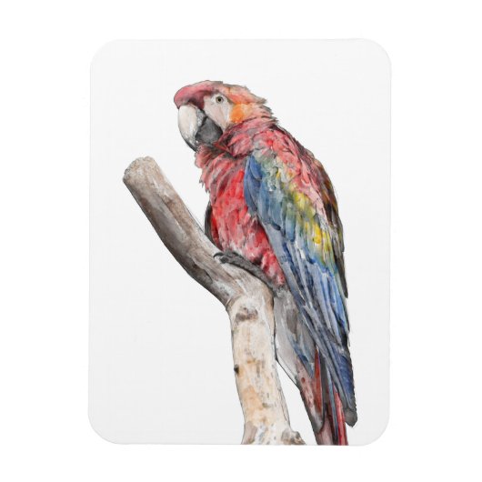 Colorful Macaw Parrot Waterverf Magneet (Verticaal)