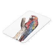 Colorful Macaw Parrot Waterverf Magneet (Linkerzijde)