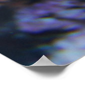 Colorful Marine Life Poster (Hoek)