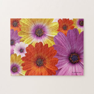Colorful Medley of African Daisies Flowers Legpuzzel