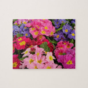Colorful Medley Pink Blue Paars Primula Flowers Legpuzzel