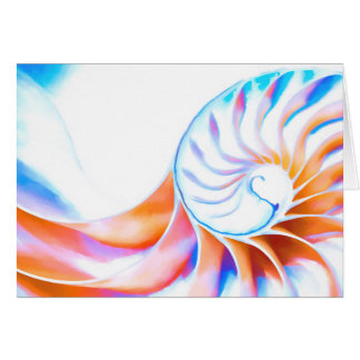 Colorful Nautilus