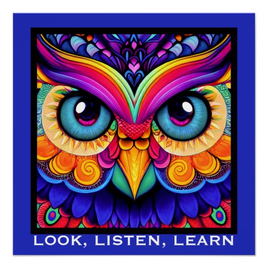 Colorful Owl Perfect Poster (Voorkant)