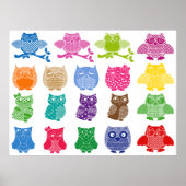 Colorful Owls Wise Birds Poster (Voorkant)
