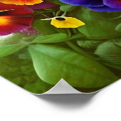 Colorful Pansies - AI ART Poster (Hoek)