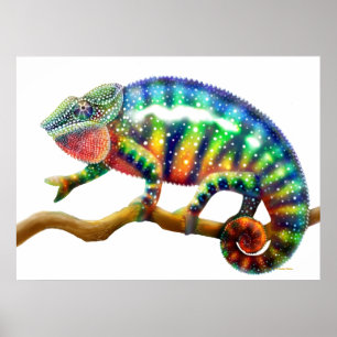 Colorful Panther Chameleon Print
