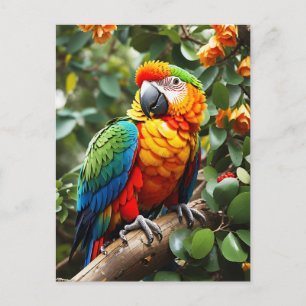 Colorful Parrot Briefkaart