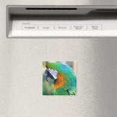 Colorful Parrot Magnet Magneet (Insitu (Vaatwasser))