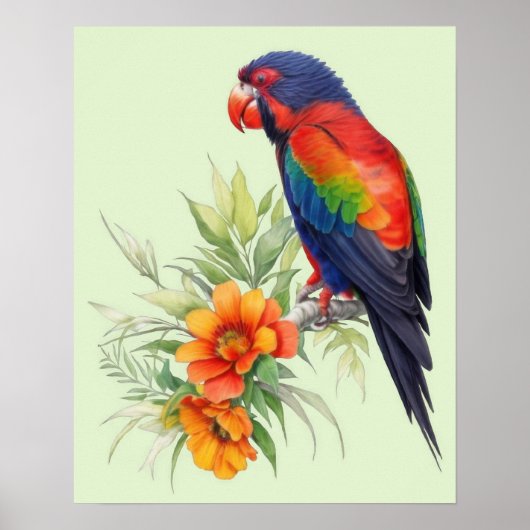 Colorful Parrot Poster (Voorkant)