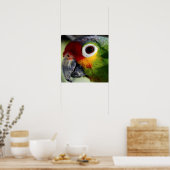Colorful Parrot Poster (Keuken)