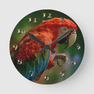 Colorful Parrot Ronde Klok