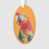 Colorful Parrot Watercolor Illustration (devant)