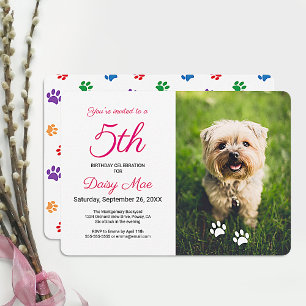 Colorful Paw Drukt roze Pet Birthday foto Kaart