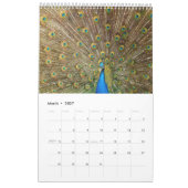 Colorful Peacock 2020 Kalender (Mar 2027)