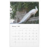 Colorful Peacock 2020 Kalender (Feb 2027)