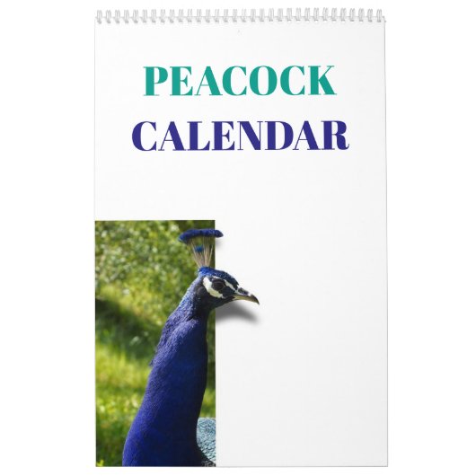 Colorful Peacock 2020 Kalender (Hoes)