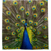 Colorful peacock douchegordijn (Voorkant)