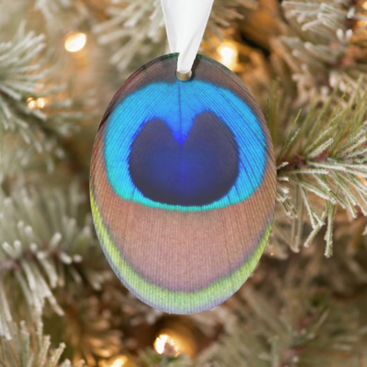 Colorful Peacock Feather Eyespot Ornament (Boom)