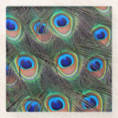 Colorful Peacock Feather Eyespot Pattern Glazen Onderzetter (Voorkant)