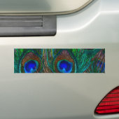 Colorful Peacock Feathers Etching Style Bumpersticker (Op auto)