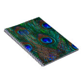 Colorful Peacock Feathers Etching Style Notitieboek (Rechterzijde)