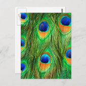 Colorful Peacock Feathers Print Briefkaart (Voorkant / Achterkant)
