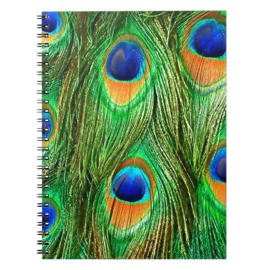 Colorful Peacock Feathers Print Notitieboek (Voorkant)