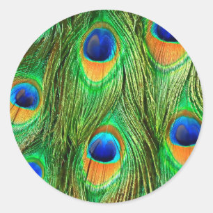 Colorful Peacock Feathers Print Ronde Sticker