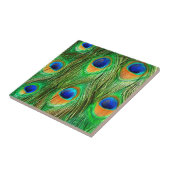 Colorful Peacock Feathers Print Tegeltje (Zijkant)
