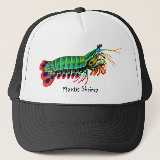 Colorful Peacock Mantis Shrimp Pet (Voorkant)