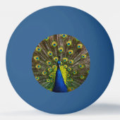 Colorful peacock pingpongballen (Achterkant)