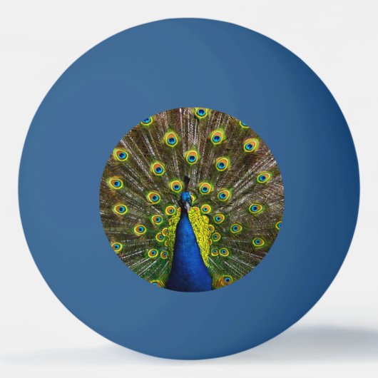 Colorful peacock pingpongballen (Achterkant)