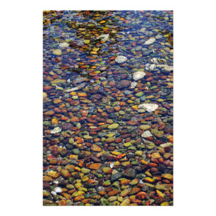 Colorful Pebbles op Hood Canal Foto Afdruk