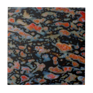 Colorful Petrified Dinosaur Bone Tegeltje