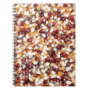 Colorful Popcorn Kernels Notitieboek