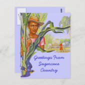COLORFUL PROMO TRAVEL SUGARCANE HARVEST BRIEFKAART (Voorkant / Achterkant)
