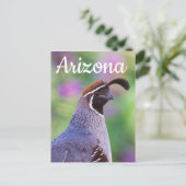 Colorful Quail, Arizona Briefkaart (Staand voorkant)