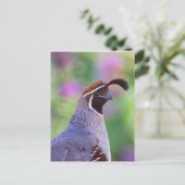 Colorful Quail Briefkaart (Staand voorkant)