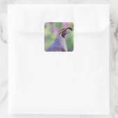 Colorful Quail Vierkante Sticker (Tas)